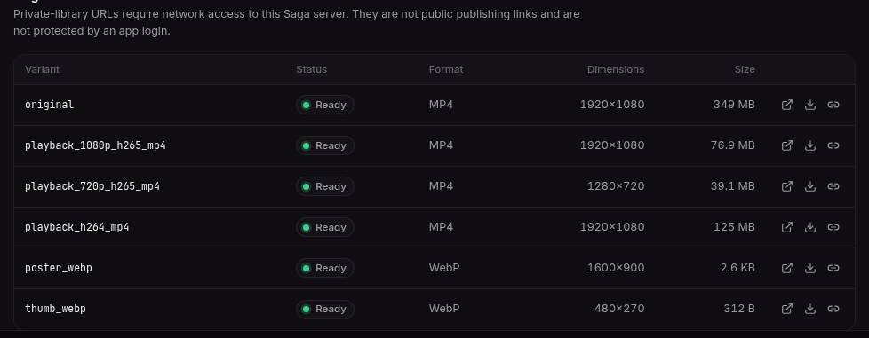 Close-up of a video's table of variants in Saga Media. Dark theme.