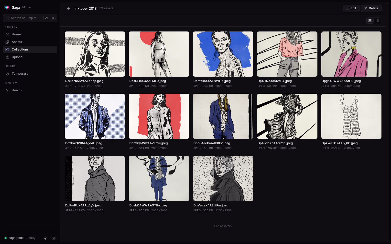 One collection open in Saga Media. Dark theme.