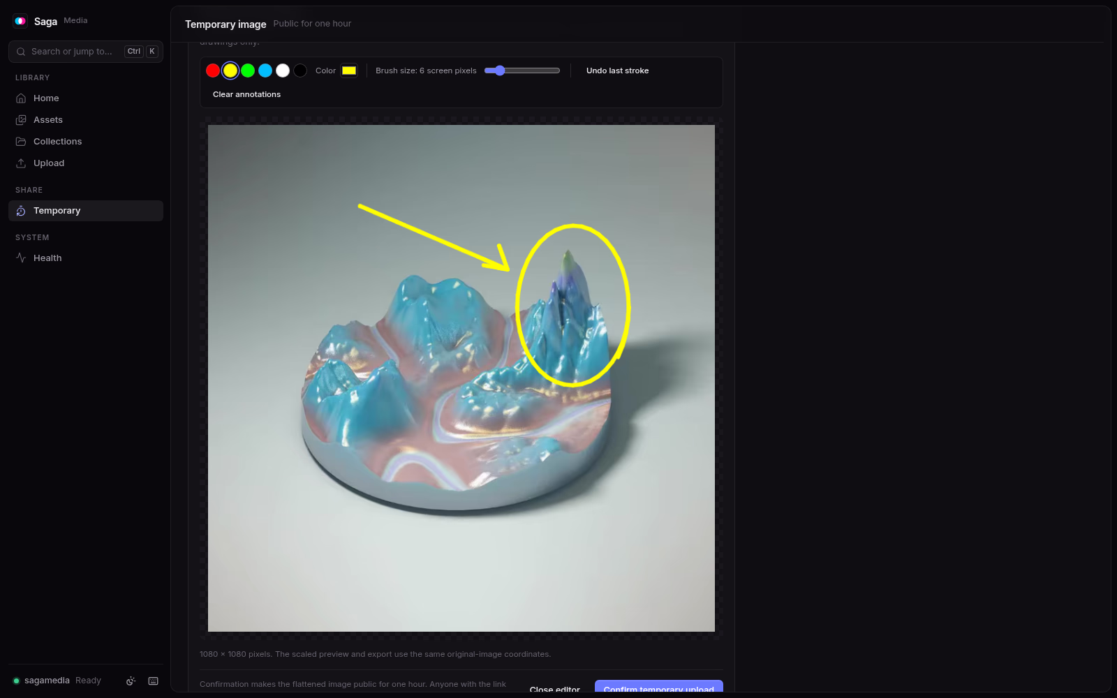 Saga Media's temporary image editor with an arrow and a circle drawn on a picture. Dark theme.