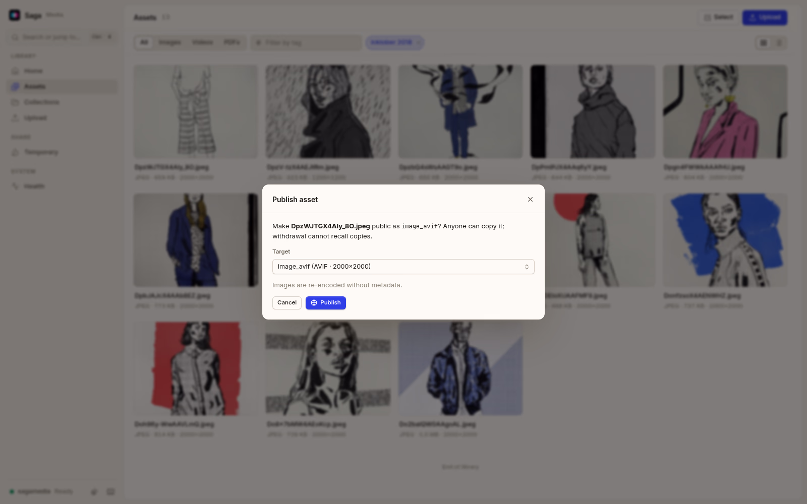 Saga Media's publish dialog over the library. Light theme.