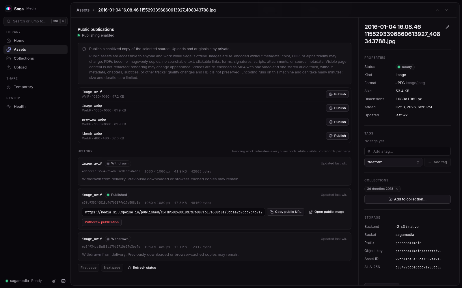The publications section of an asset's page in Saga Media. Dark theme.