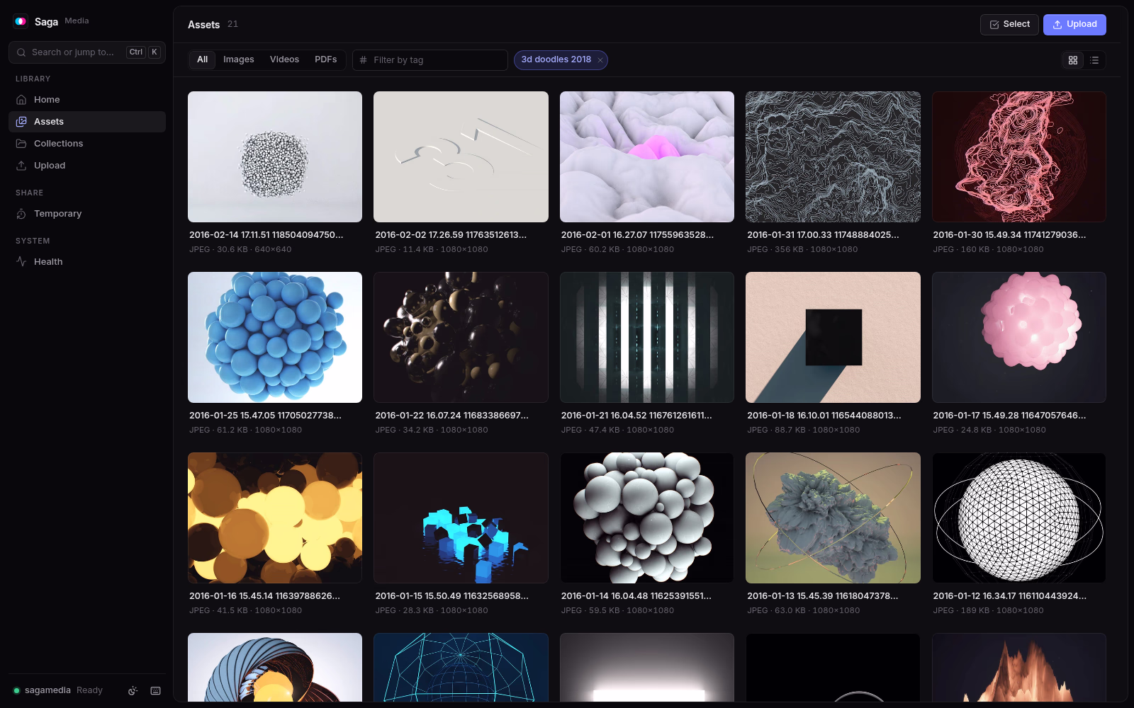 Saga Media's library as a grid of images, filtered to one collection. Dark theme.