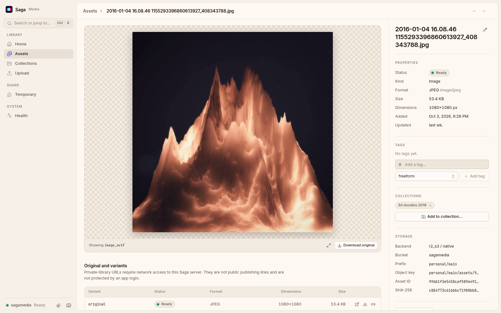 The page for one image in Saga Media. Light theme.